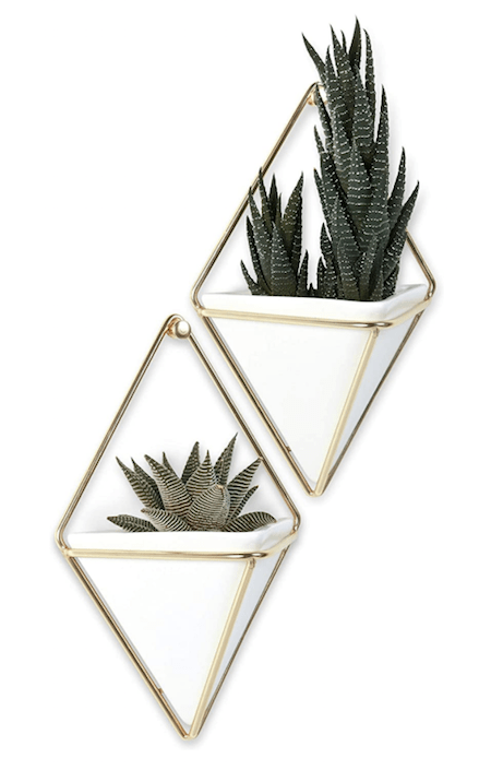 Cute Home Office Décor picks from Amazon | Cartageous.com/Blog