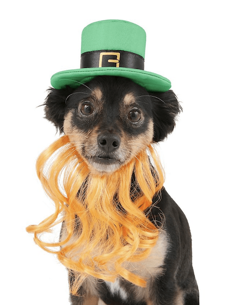 St. Patrick’s Day Dog Toys and Accessories  from Chewy | Cartageous.com/Blog